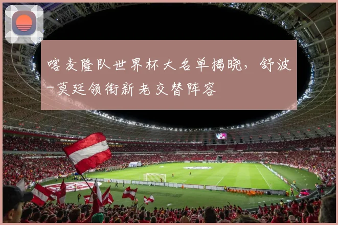 喀麦隆队世界杯大名单揭晓，舒波-莫廷领衔新老交替阵容