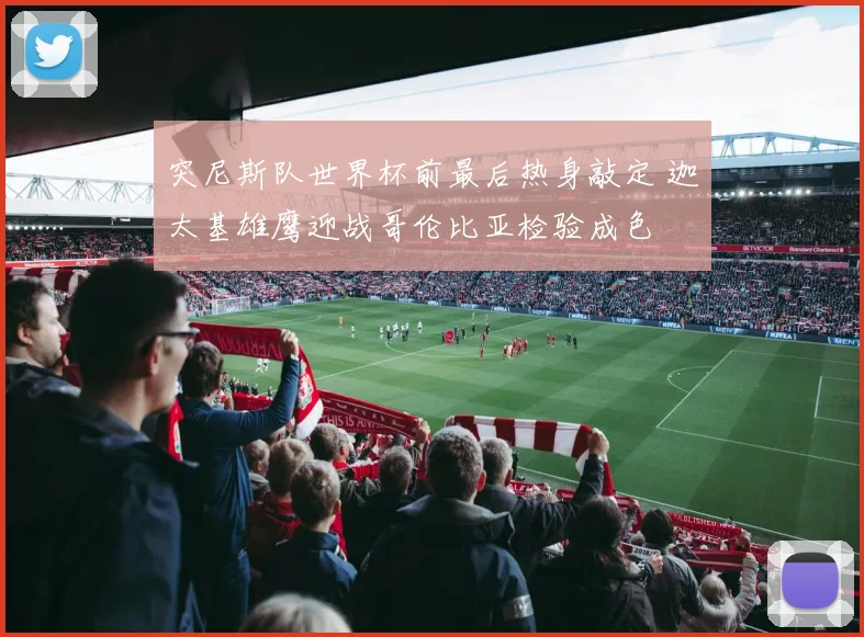 突尼斯队世界杯前最后热身敲定 迦太基雄鹰迎战哥伦比亚检验成色