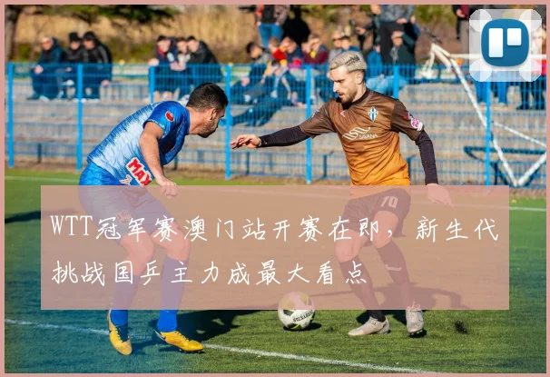 WTT冠军赛澳门站开赛在即，新生代挑战国乒主力成最大看点